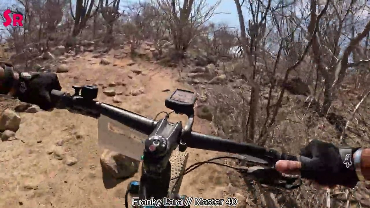 Pista shark - Master 40 // Estatal