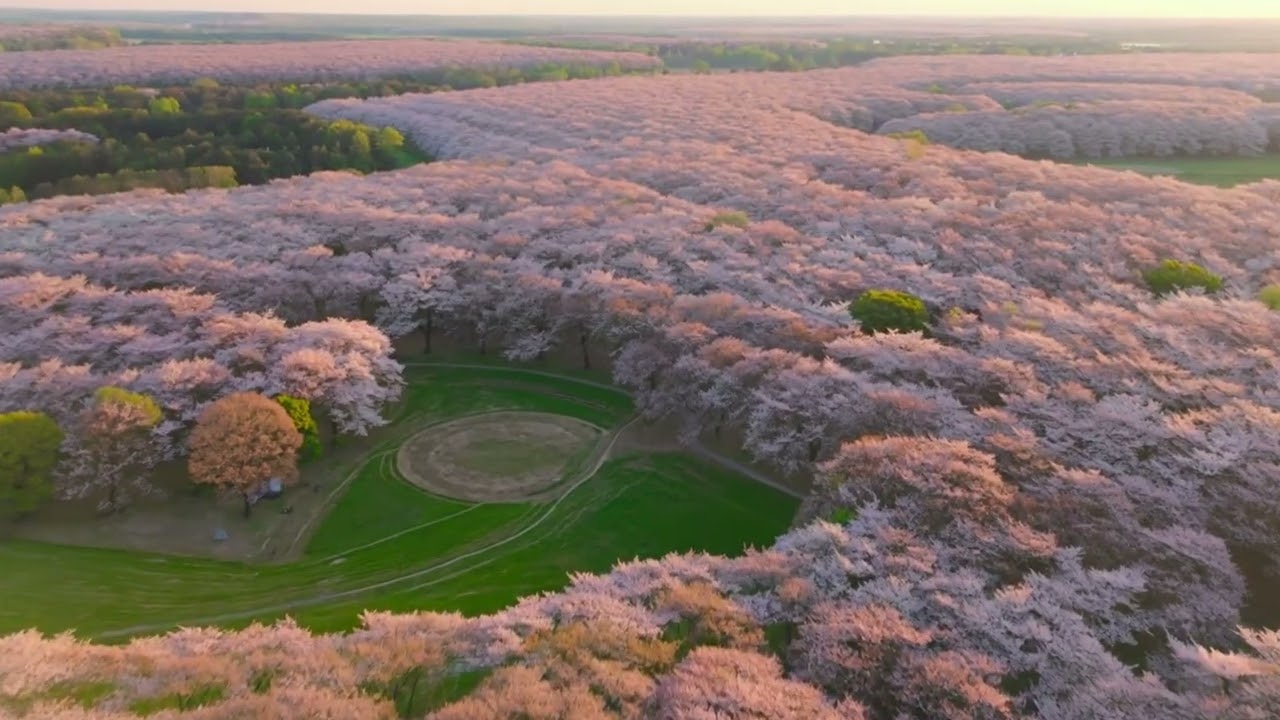 Spring Awakening | Joyful Spring Piano Music | Uplifting Solo Piano for Fresh New Beginnings