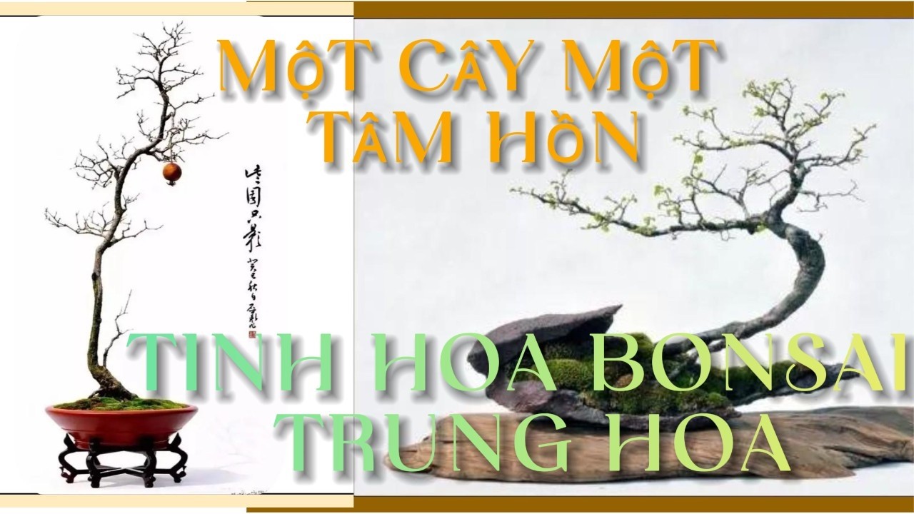 Bonsai Tân Văn Nhân” của Lý Tiêu – Khi cây cảnh trở thành tâm hồn thi nhân#TinhHoaBonsai