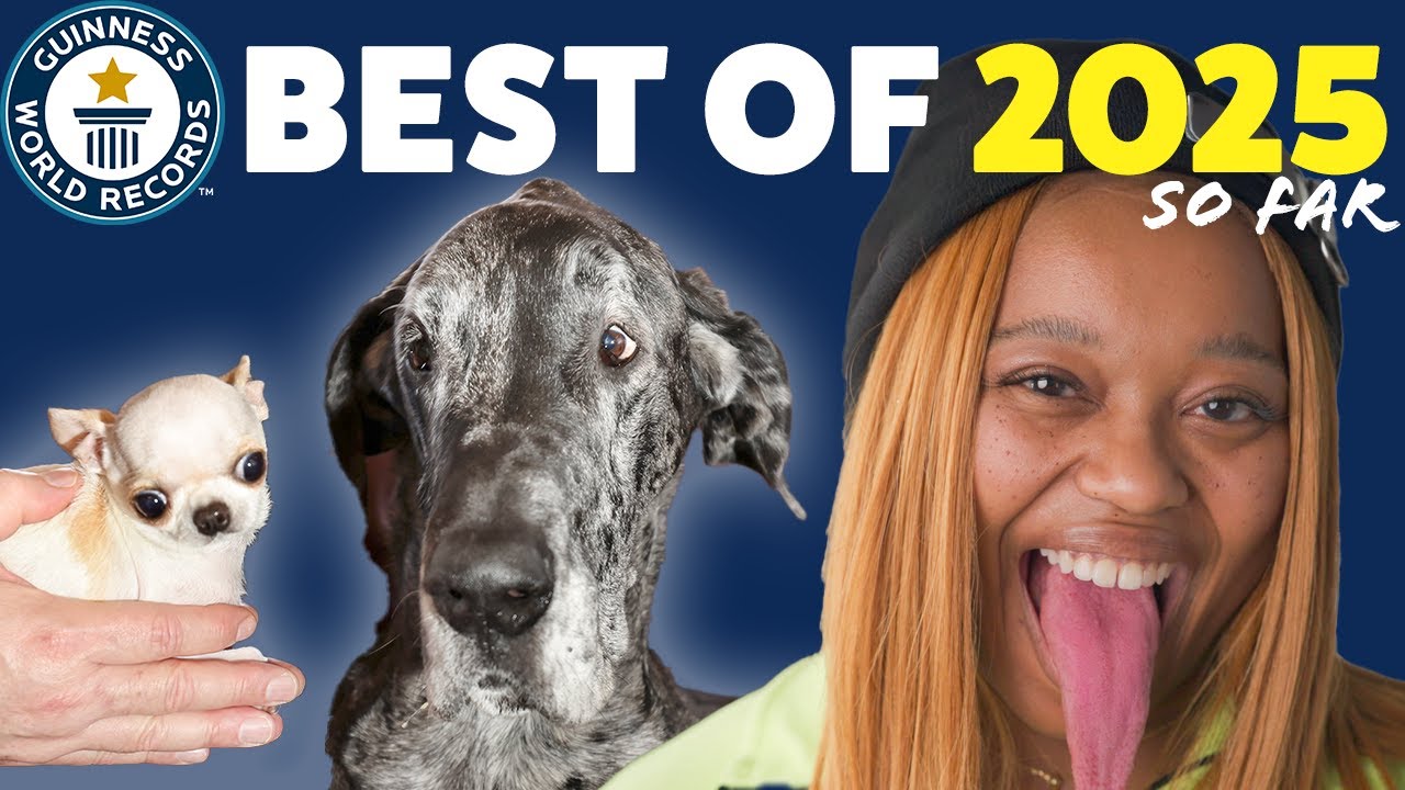 BEST RECORDS OF 2025... so far! | Guinness World Records