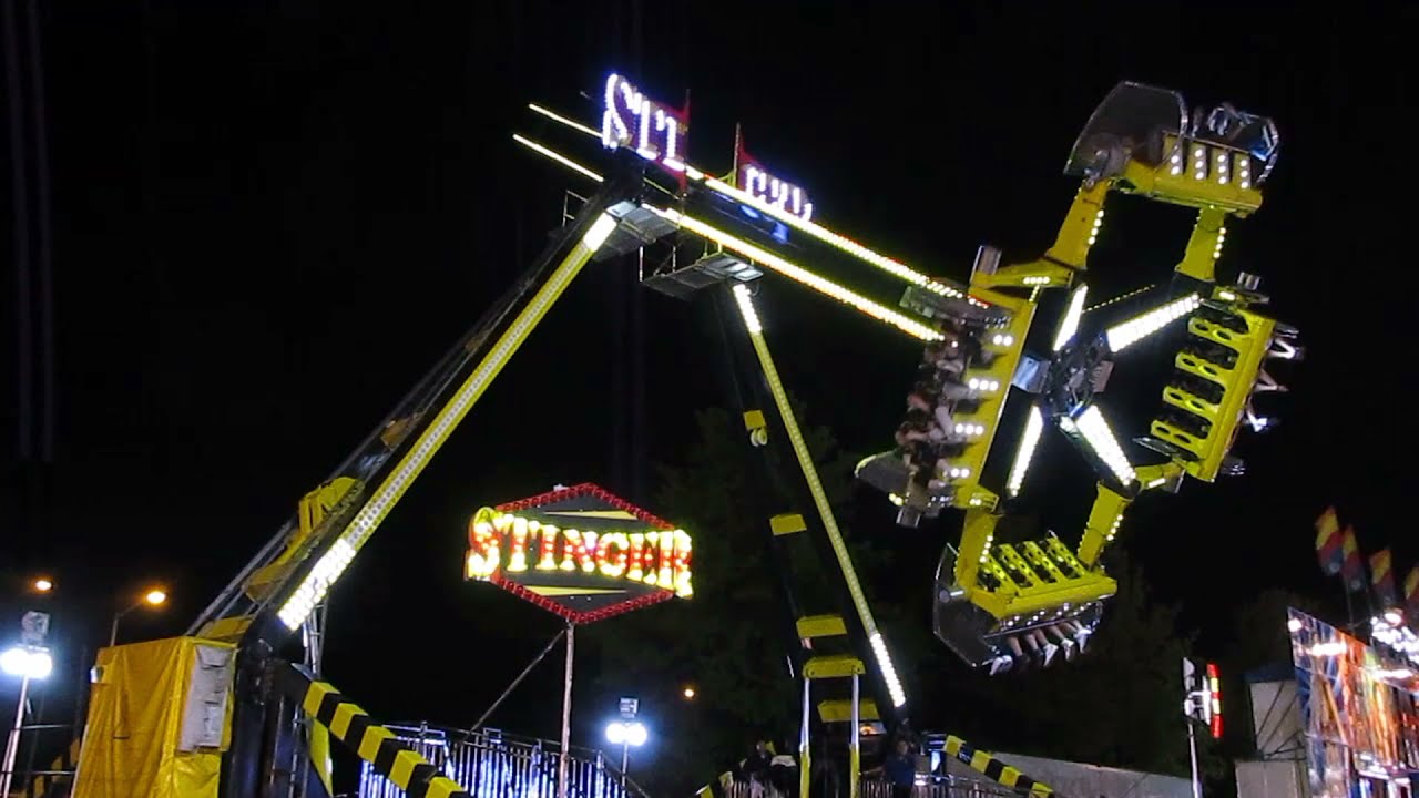 Stinger (Technical Park Loop Fighter)