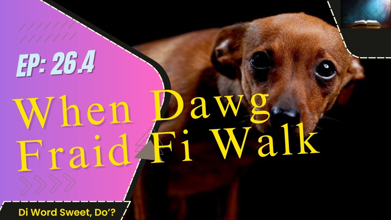 26.4 When Dawg Fraid Fi Walk