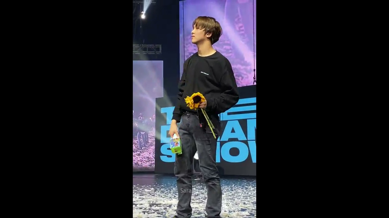 [4K] NCT DREAM TOUR “THE DREAM SHOW in MANILA” – Beautiful Time || Ending Ment