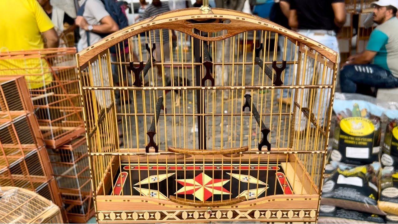 Feira de Pássaros de Caruaru PE 10/10/2022 gaiolas acessórios pássaros promoções aves exóticas