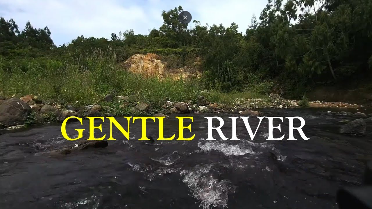 🔴 LIVE | Gentle River Stream ASMR – Daytime Nature Sounds for Relaxation & Focus