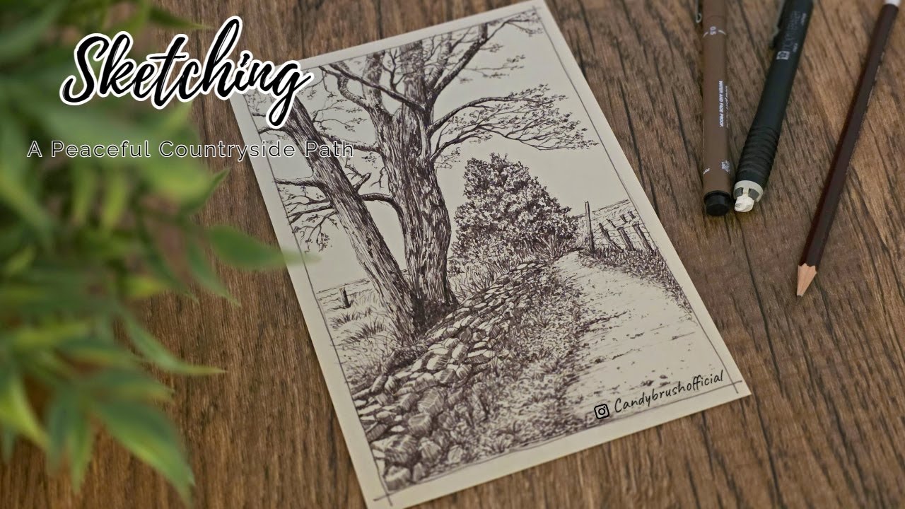 Pen & Ink Drawing #55 | Sketching a Peaceful Countryside Path