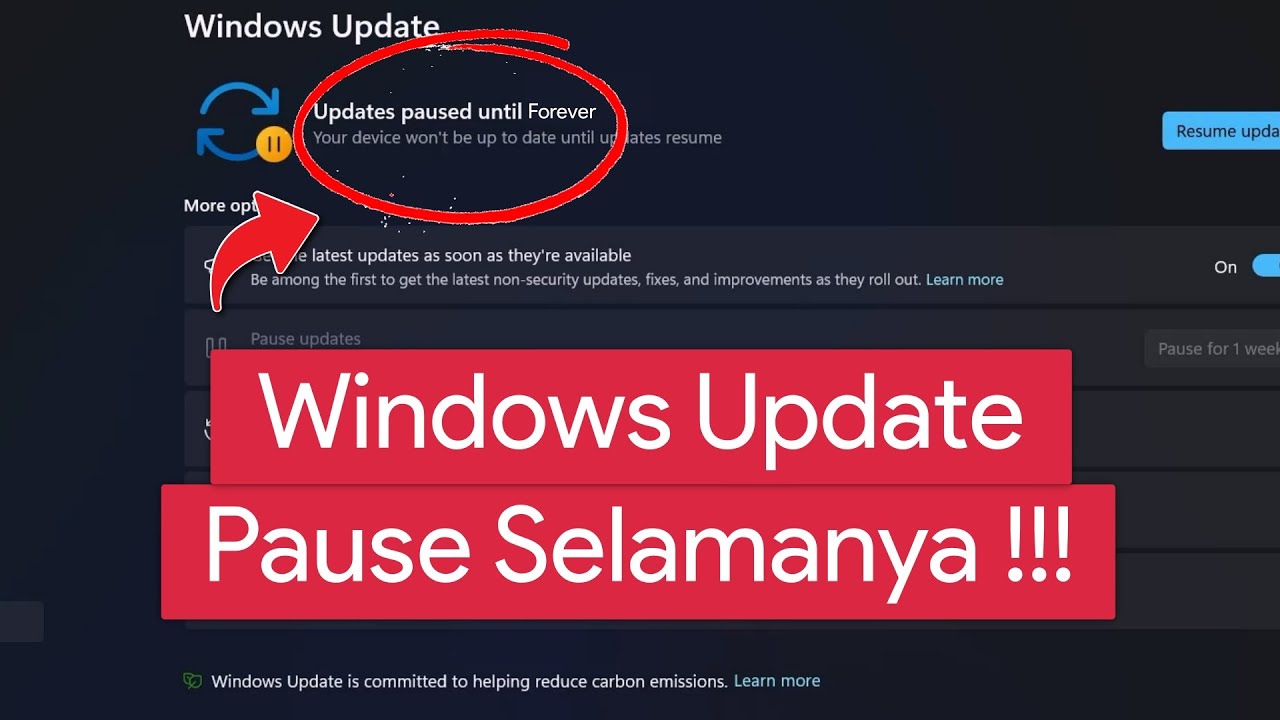 Cara Pause Windows Update Selamanya