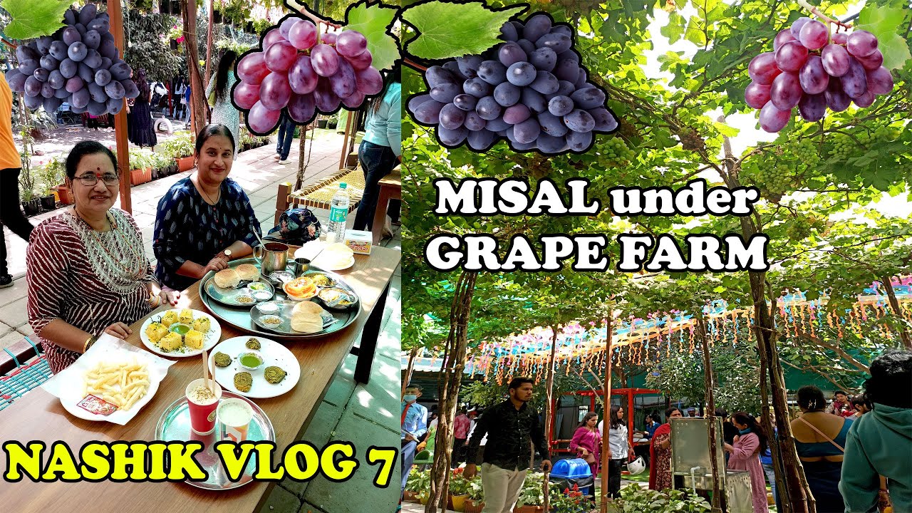 द्राक्षाच्या शेती मध्ये मिसळ थाळी | Eating Misal in Grape Farm Nashik | Shubhangi Keer Nashik Vlog 7