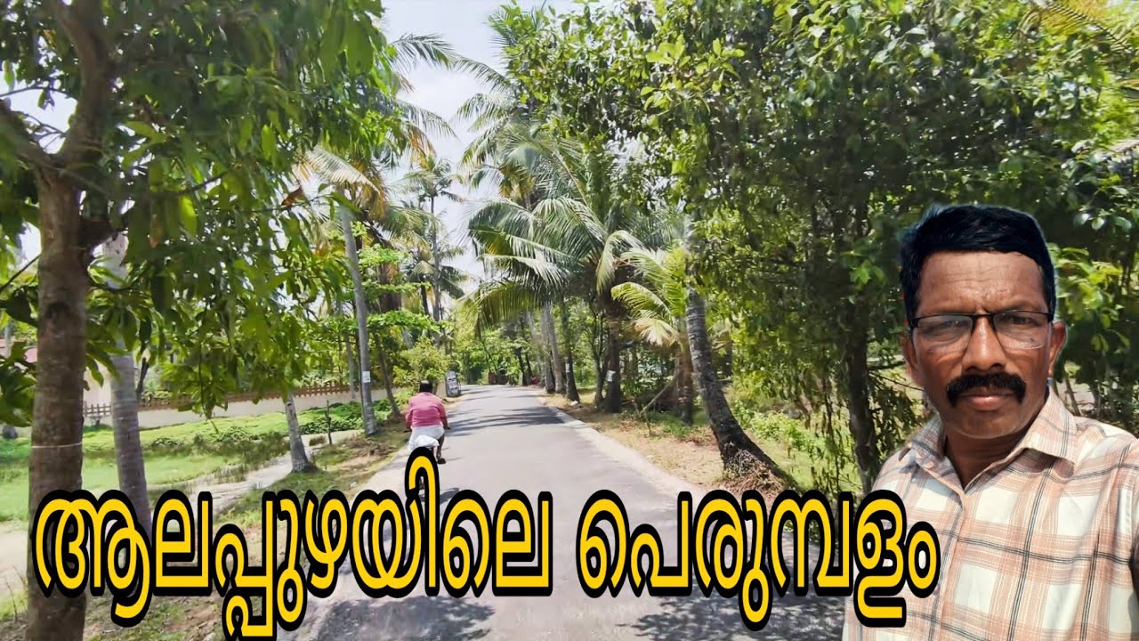Vinoidukki പെരുമ്പളം ഗ്രാമത്തിലെ കാഴ്ചകൾ PERUMBALAM VILLEGE ALAPPUZHA 