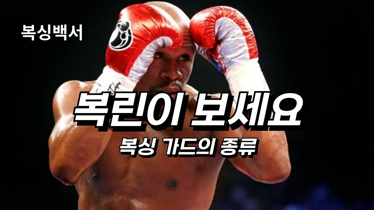 복싱백서 - 복싱 기본 가드