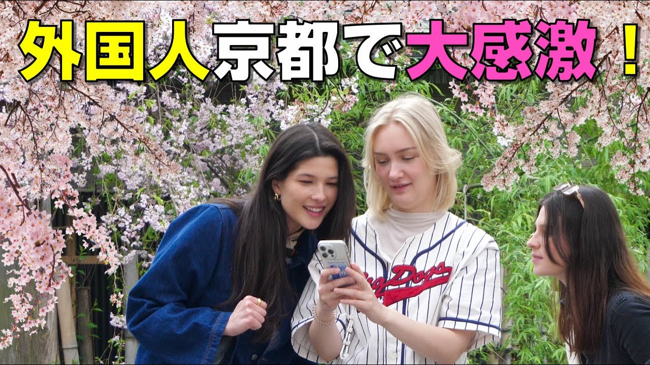 【海外の反応】京都、祇園白川の満開の桜と、外国人がみやびな美女軍団の降臨に大感激！最高のお花見と日本旅行の満喫方法をしらべてみたら