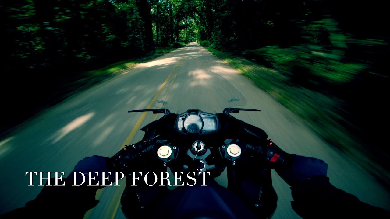Through the DEEP FOREST to the RIVER | 100 Mile Weekday Ride | Part 2/4 | Ninja 400