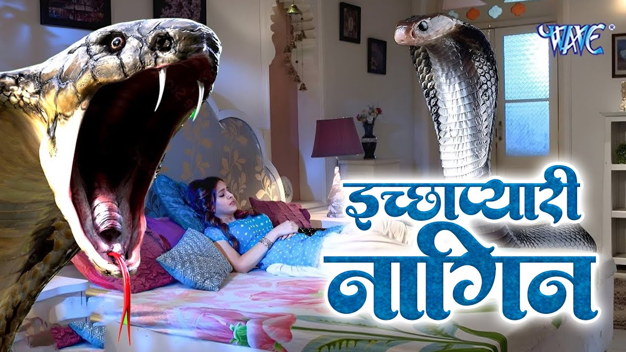 अँधेरी रात में Iccha के कमरे में घुस आया Icchadhari Naag | Icchapyaari Naagin | Episode Video