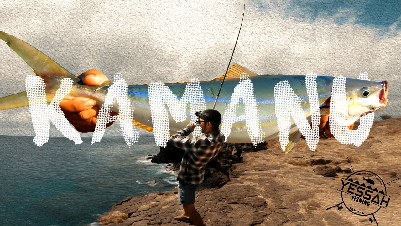 Drone fishing for (Kamanu) Rainbow Runner - Big Island Hawaii Cliff Fishing