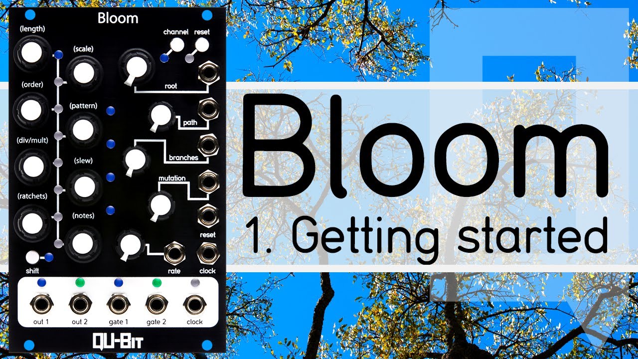 Bloom Tutorial 1: Getting Started!