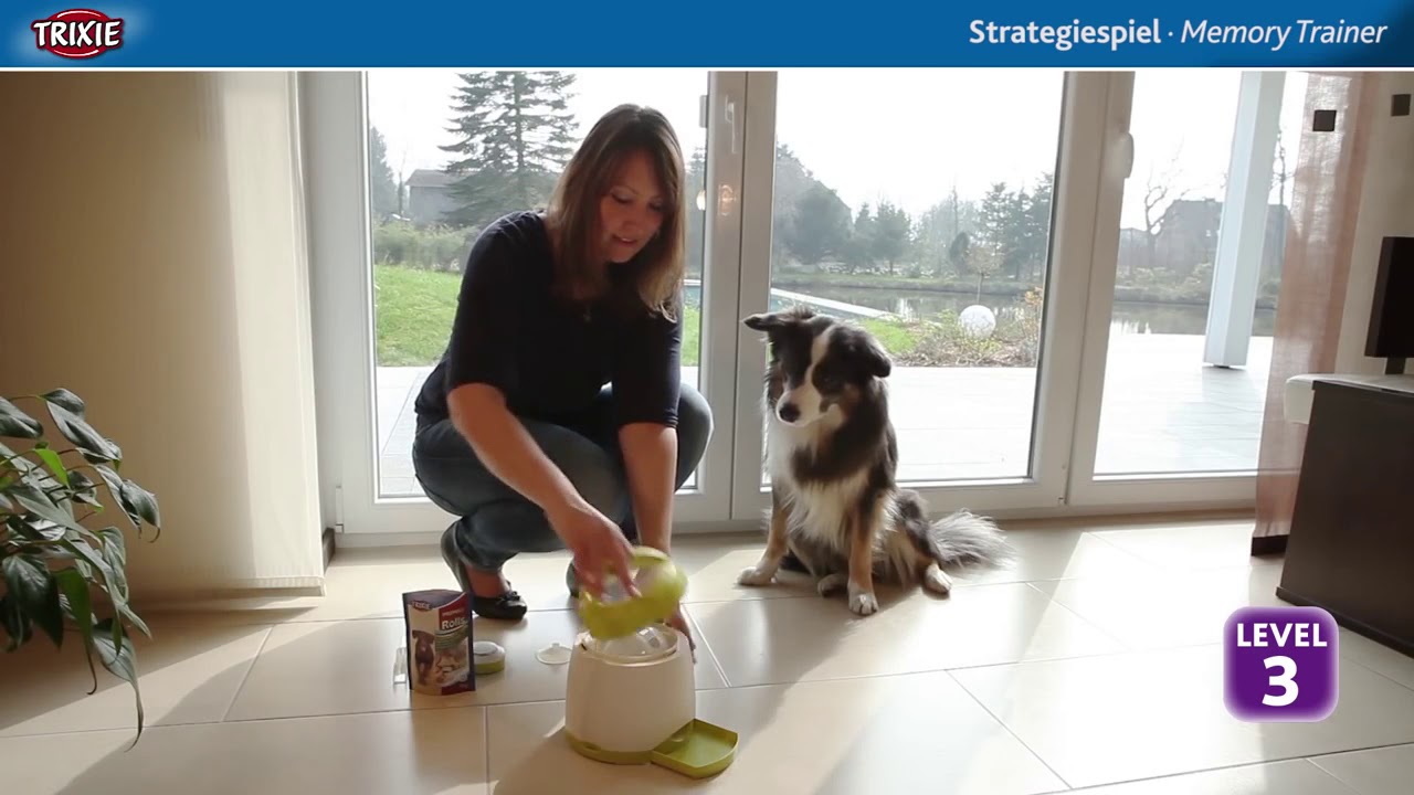 Trixie Dog Activity Memory Trainer