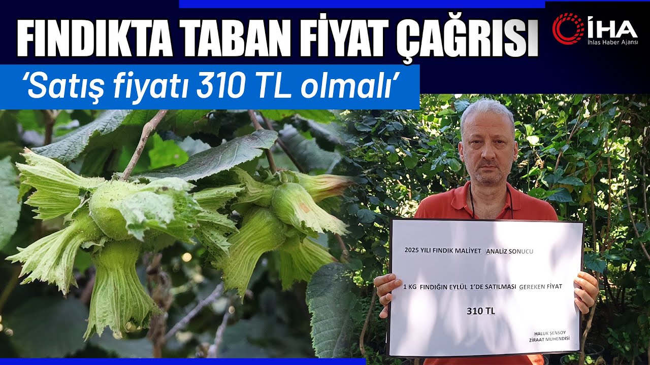 Ziraat Mühendisinden Fındığın Maliyeti Hesabı: 222 TL