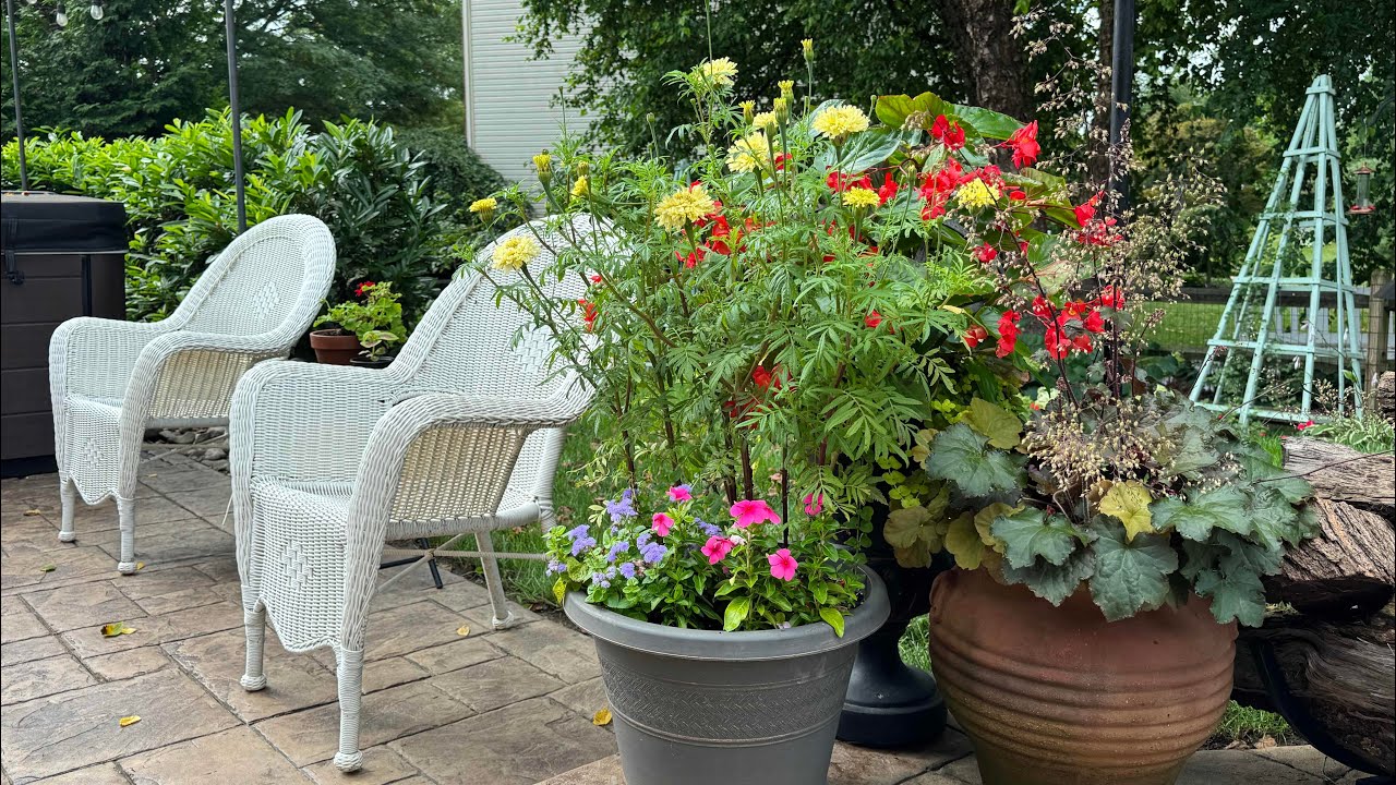 July Container Tour! Simple and Beautiful Summer Flower Containers For the Patio and Porch!