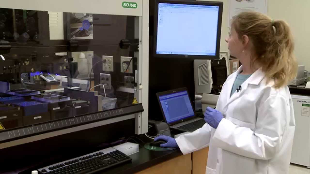 iQ-Check Prep Automation System Setup Training