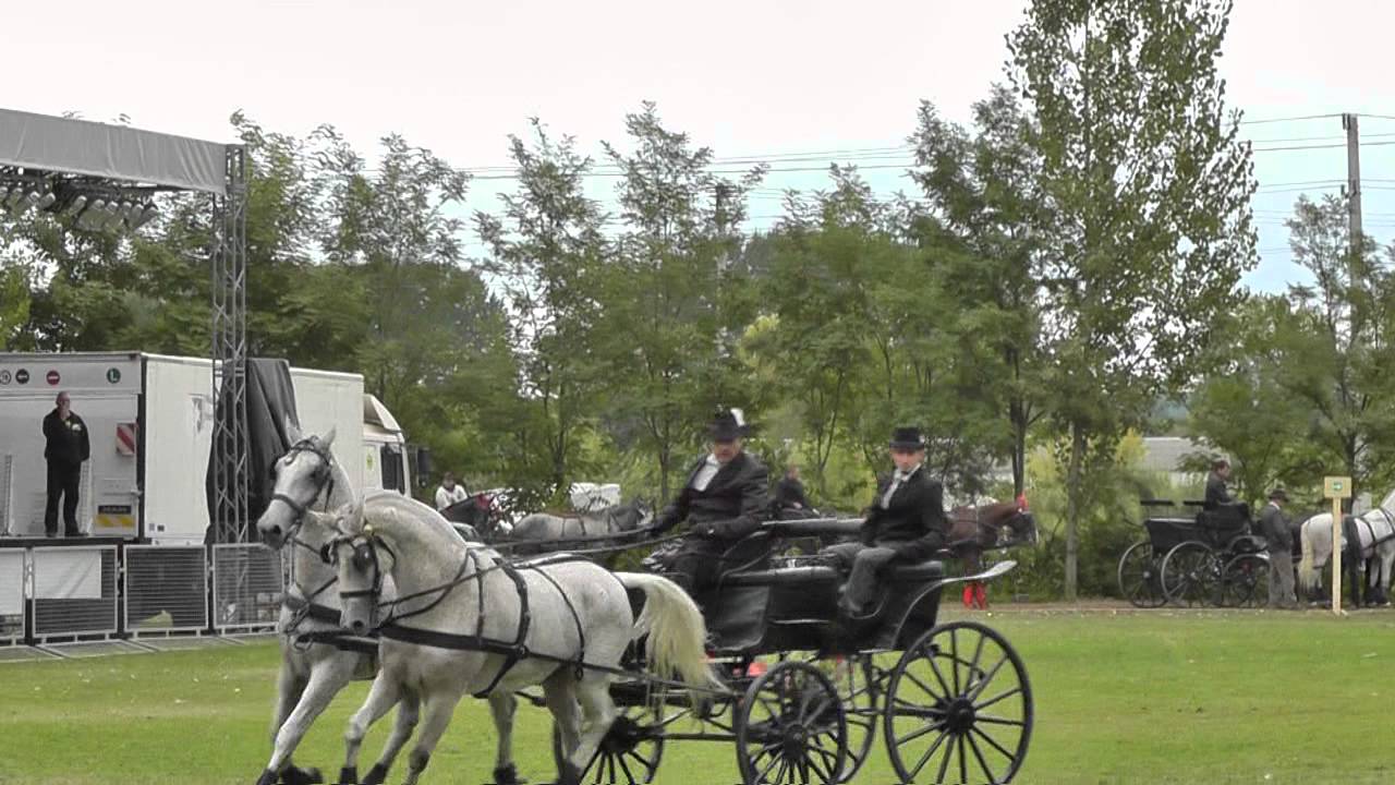 Fogathajtó verseny Baktalórántháza 2013