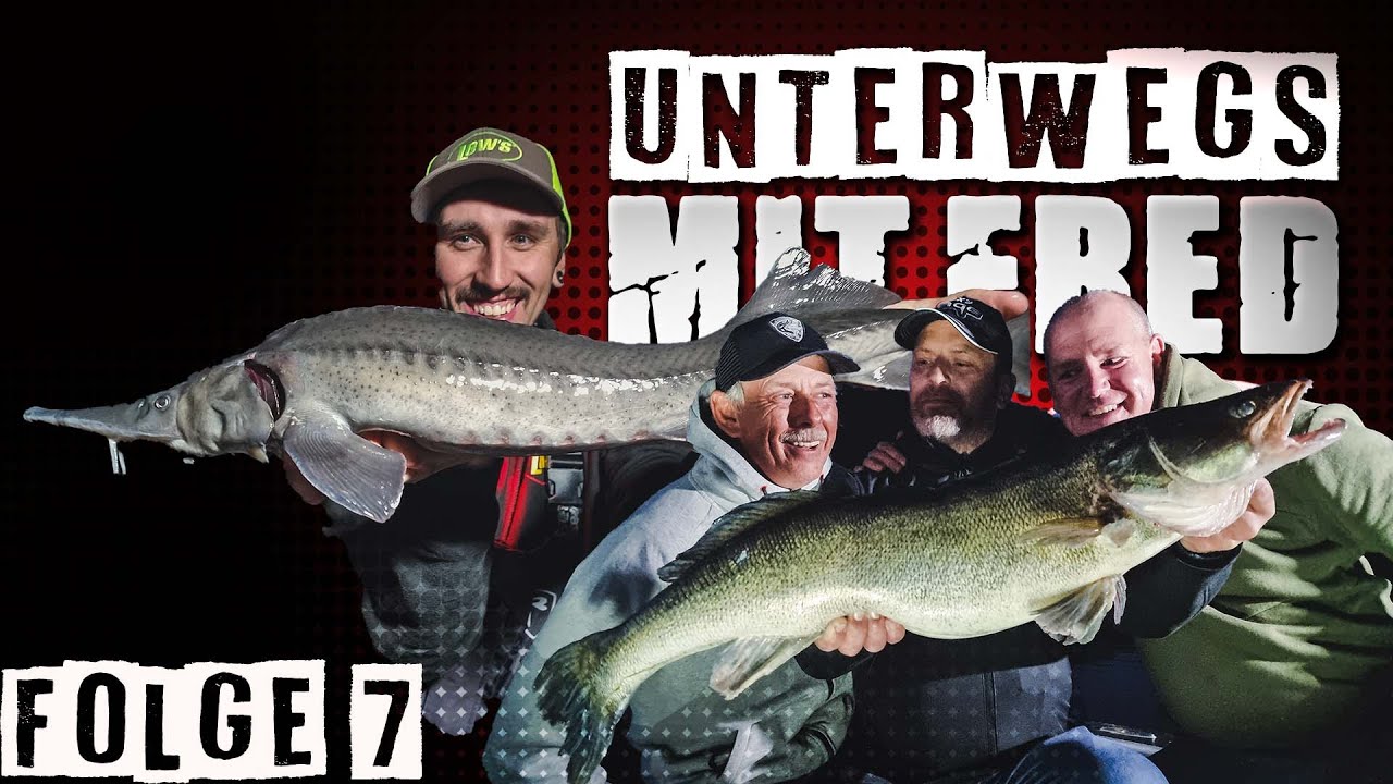 Unterwegs mit Fred | STÖR Fall am Plauer See | Dicke Zander und andere Ungeheuer | Folge 7