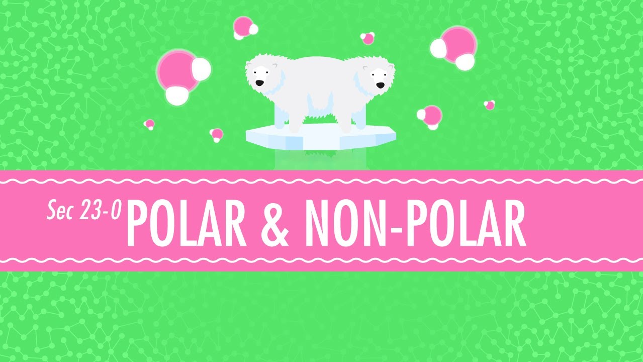 Polar & Non-Polar Molecules: Crash Course Chemistry #23