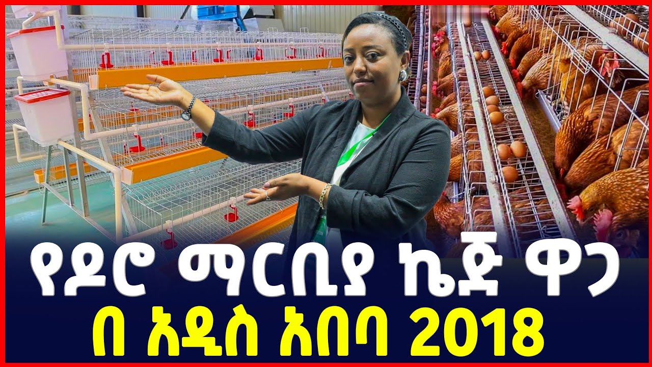 የዶሮ ማርቢያ ኬጅ ዋጋ| Price of chicken cages| Agriculture | SILE BUSINESS 