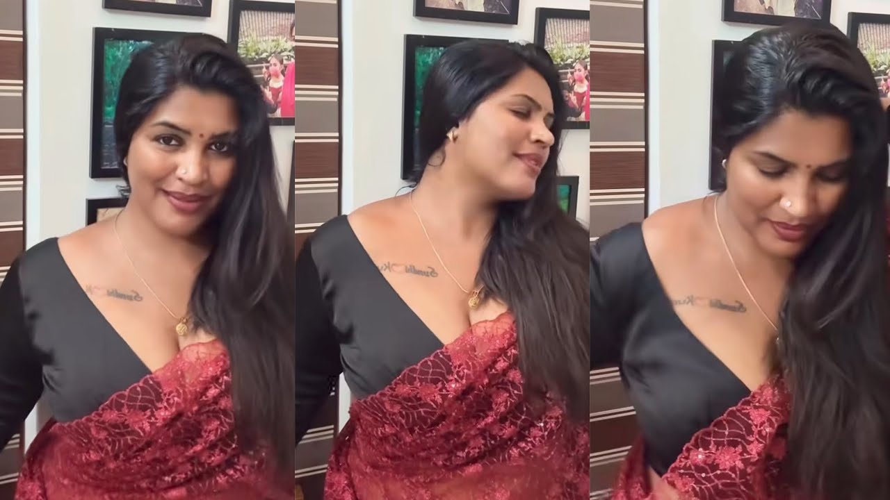 South Indian Saree Draping Style Posing in Maroon Net Saree With Embroidery in Deep - Neckline 