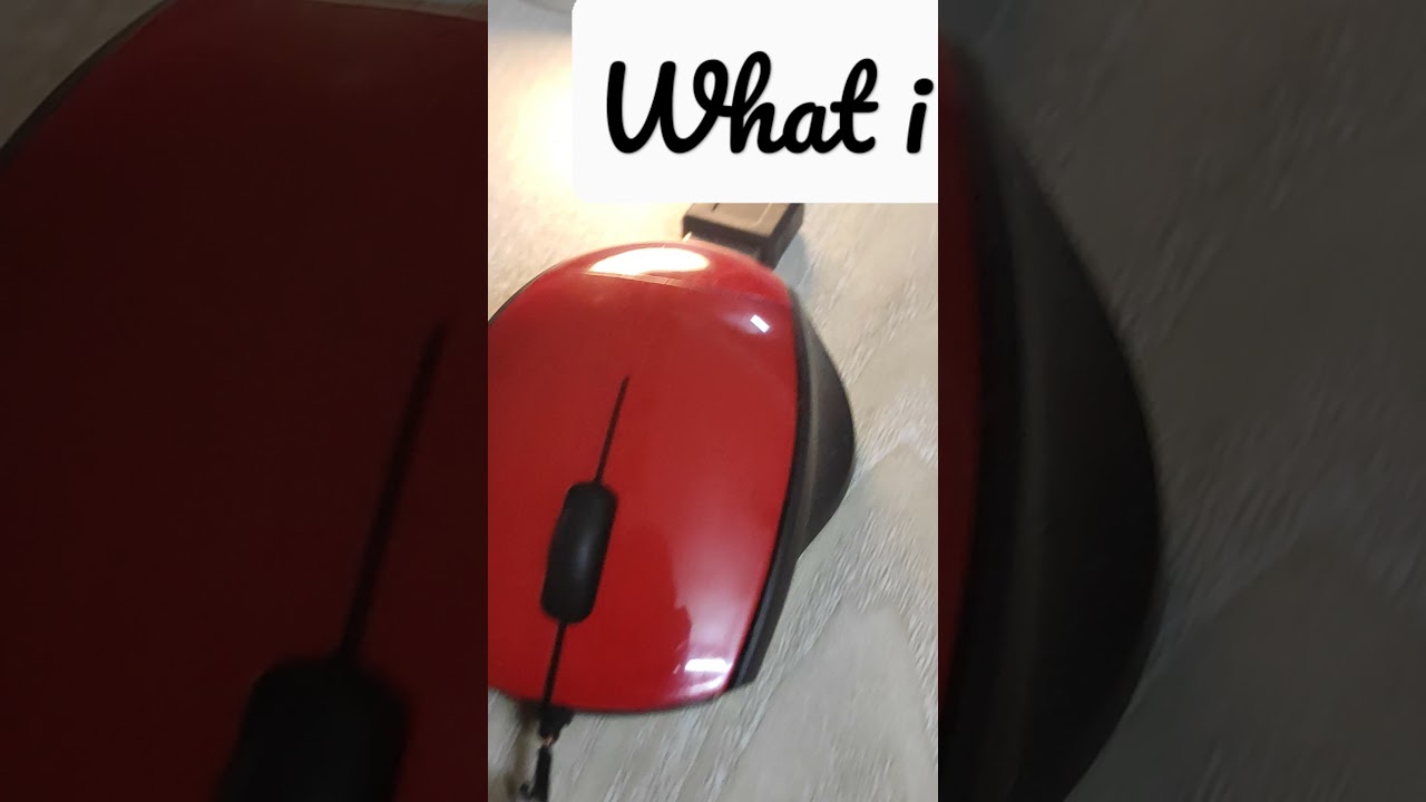 #whatisee #mouse