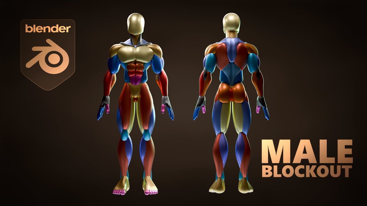 Male Blockout - How to easily Blockout a Character in Blender