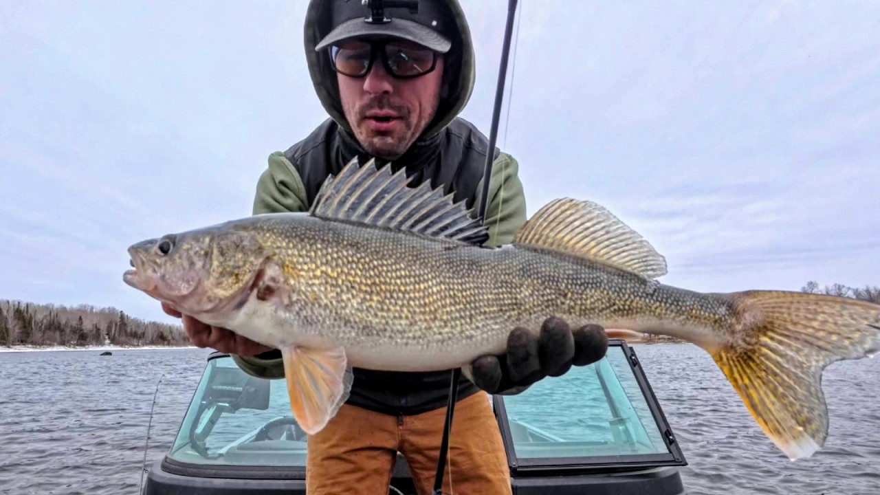 RIVER WALLEYE Fishing in Frigid Spring Temps (35F water)