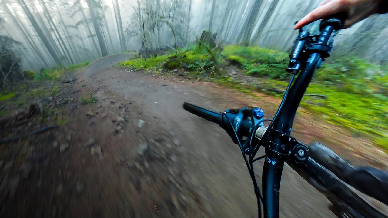 Ambient MTB POV | You Lose the Forest At This Speed!