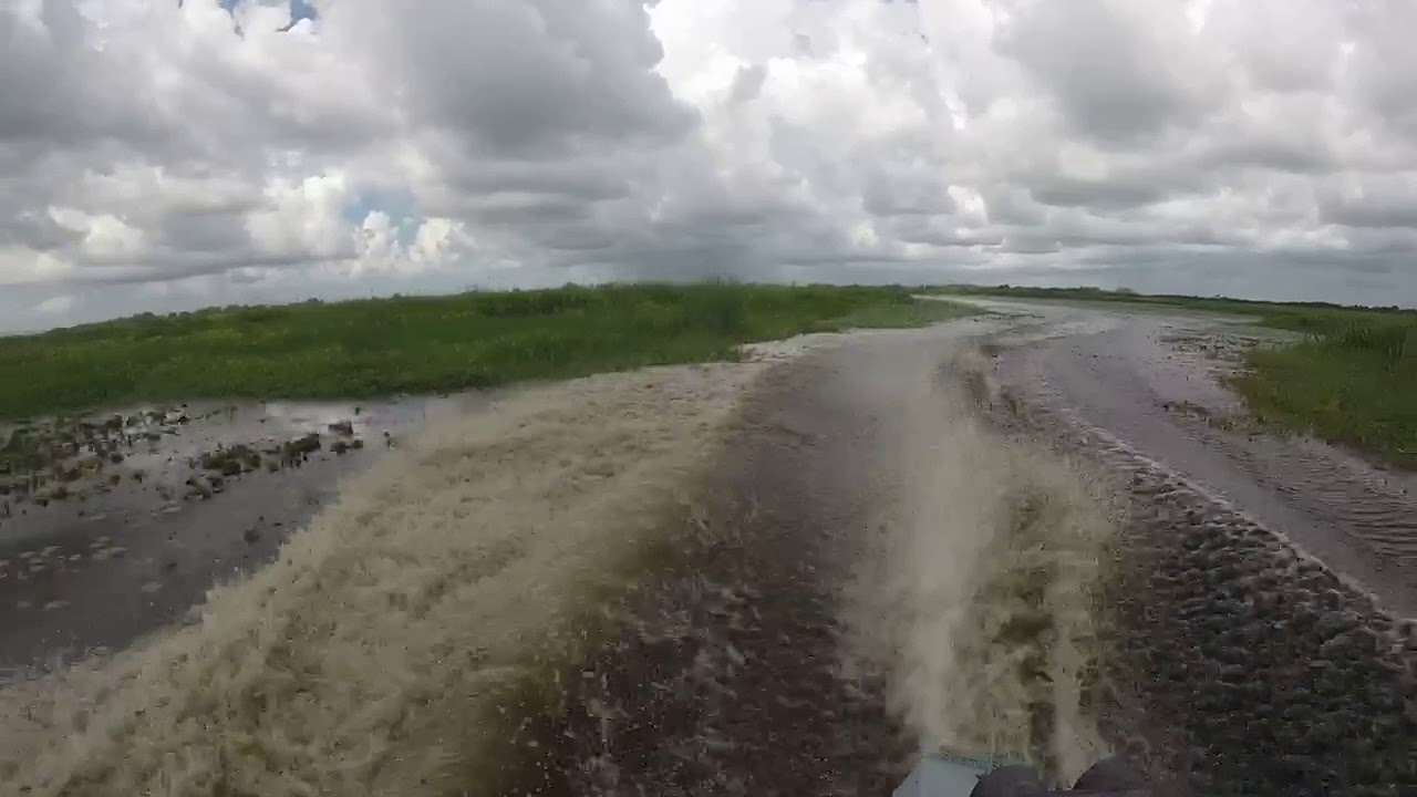 SWAMP SHARK DRIVE BOAT-8-1-18