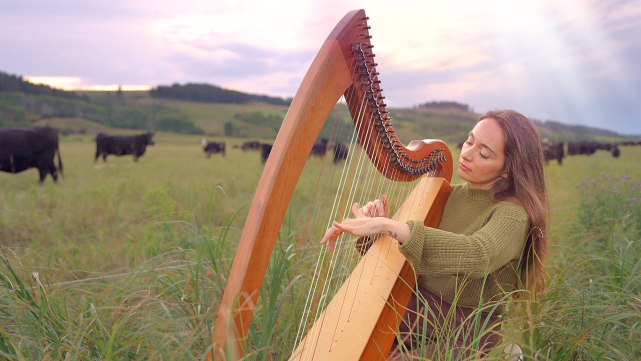 Harp Music for the Wonderful Cows (1 Hour) | Sarah Bhalla