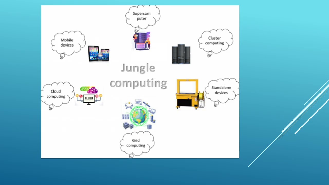Jungle Computing