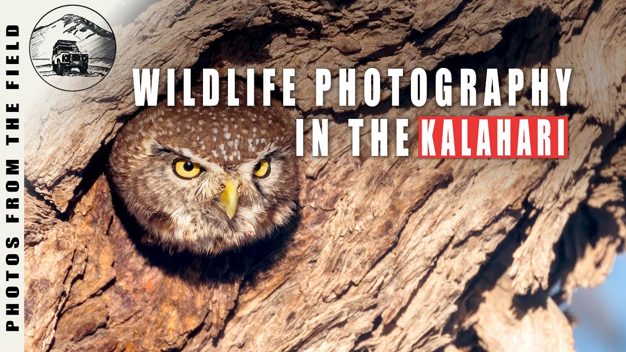 Locals Try to keep this Park Secret | Kgalagadi