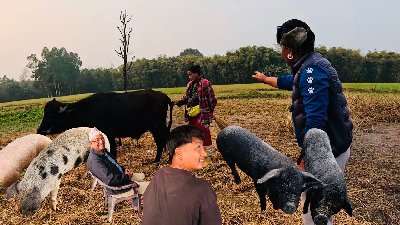 Srip 26500 ko matra mudda milaiyo sathiharu🙏🏻❤️
