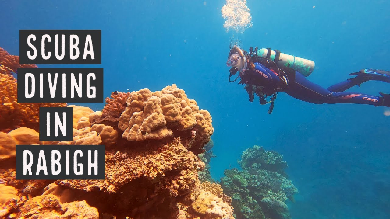 Scuba Diving Saudi Arabia - Rabigh Beach dive!