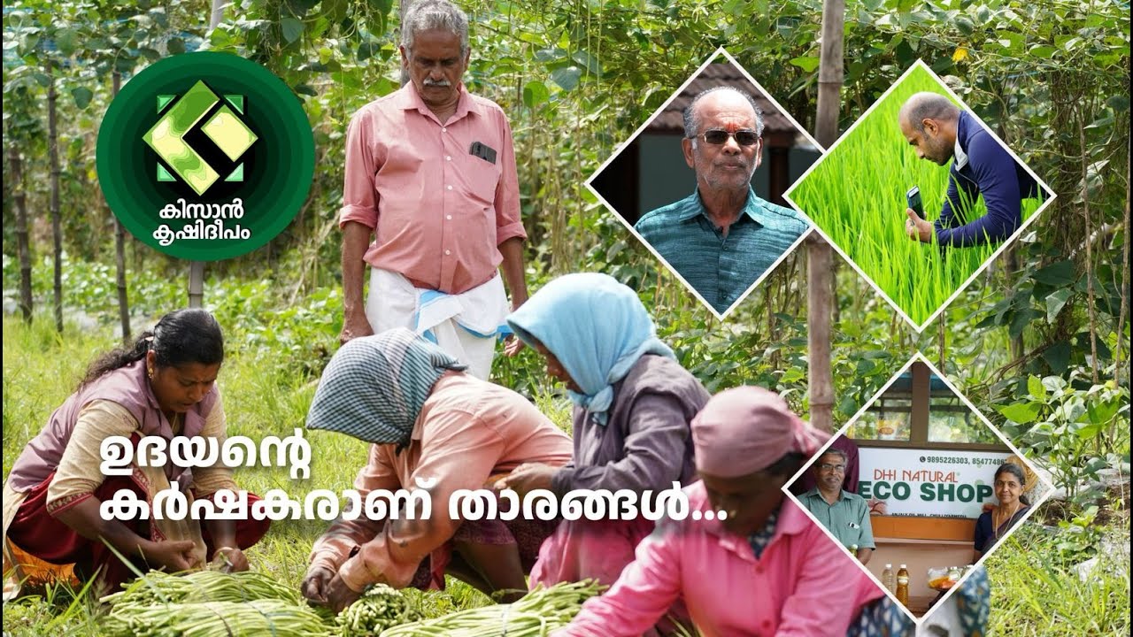 Kissan Krishideepam Episode - 1075 Udayan the mentor…. His farmers are stars…