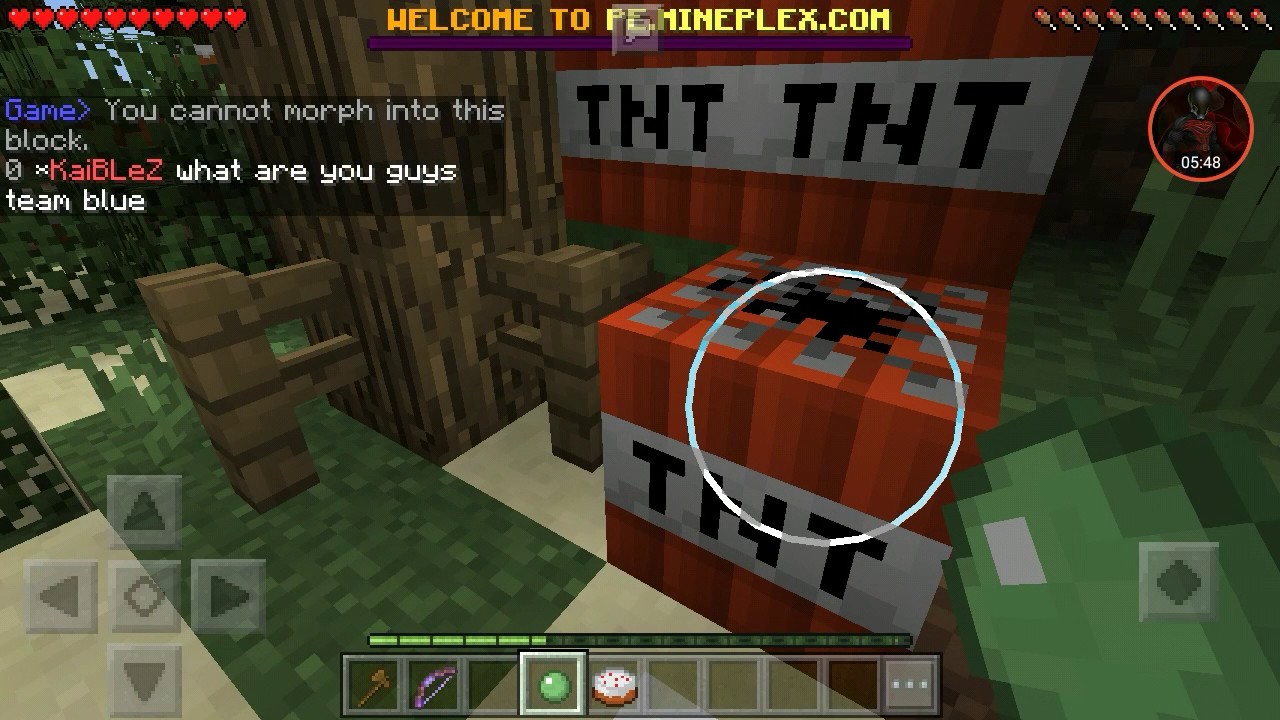 Lets play minecraft server block hunt