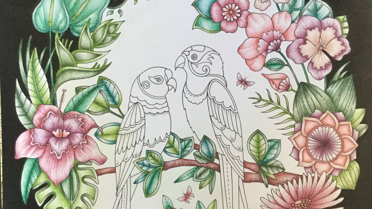 MAGICAL JUNGLE by Johanna Basford - faber castell polychromos - part 1