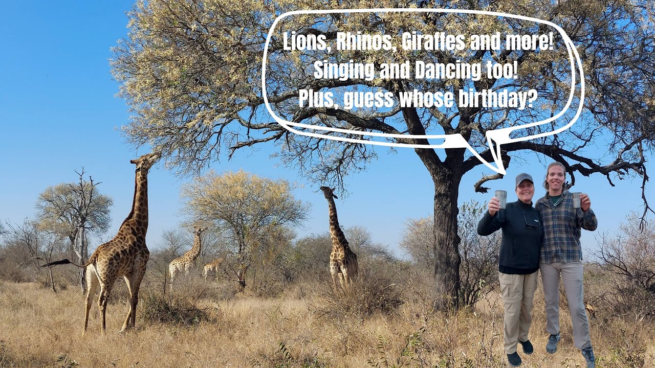 Africa Part IV - Baobab Ridge Safari Lodge in Klaserie Private Nature Reserve