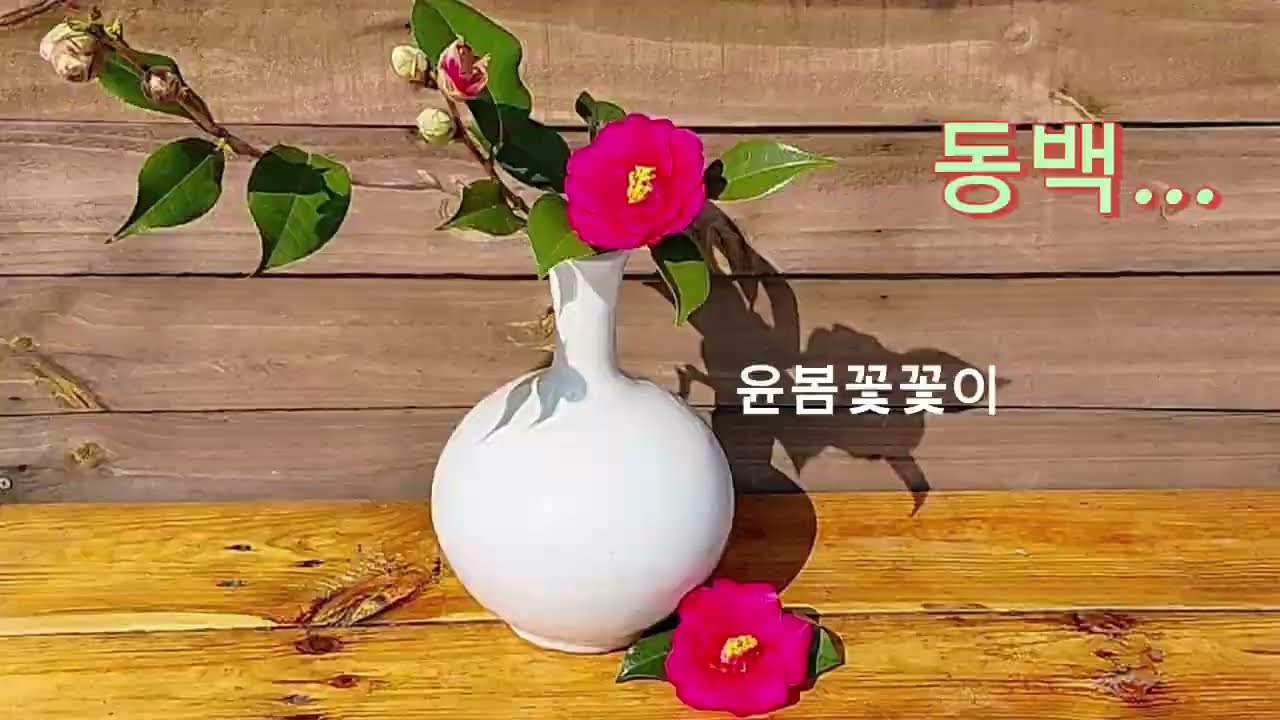 윤봄꽃꽂이 동백꽃...