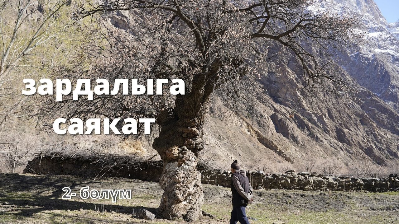 ЗАРДАЛЫГА САЯКАТ 2 бөлум  600 ЖЫЛДЫК ӨРҮК