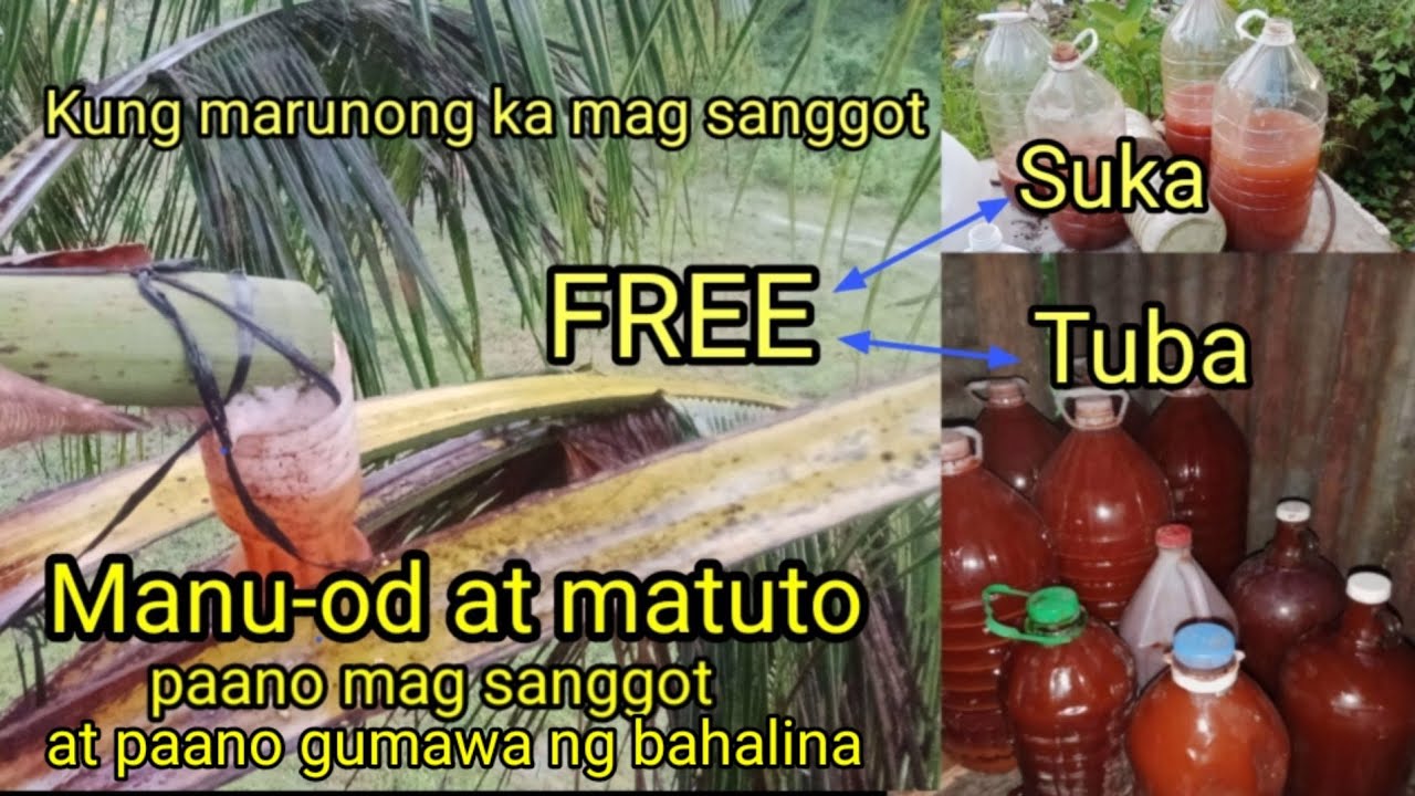 Ang sideline ku sa pangigisda full tutorial kung paano mag sanggot ng nyog