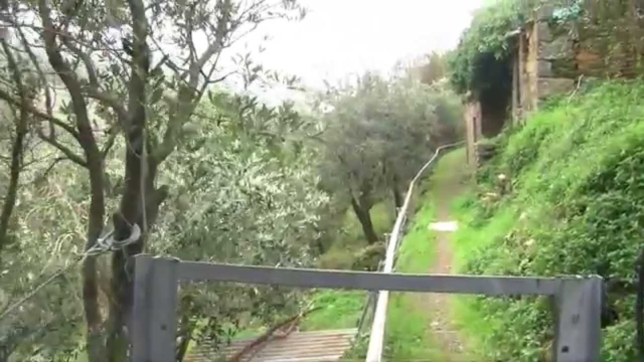 Trenino in the Cinque Terre