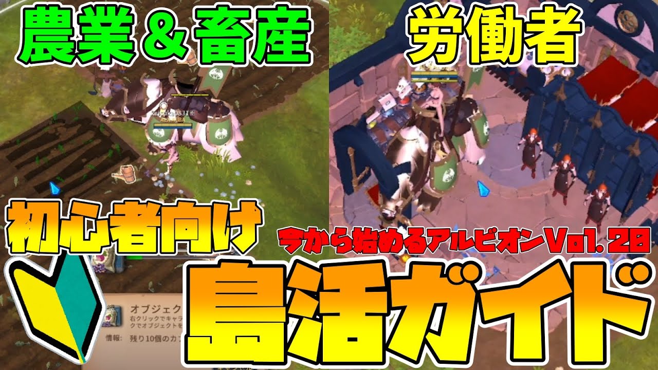【Albion】どれくらい儲かる？農業＆畜産と労働者を0から解説します！今から始めるアルビオンVol.20【アルビオンオンライン】【VOICEVOX:四国めたん】