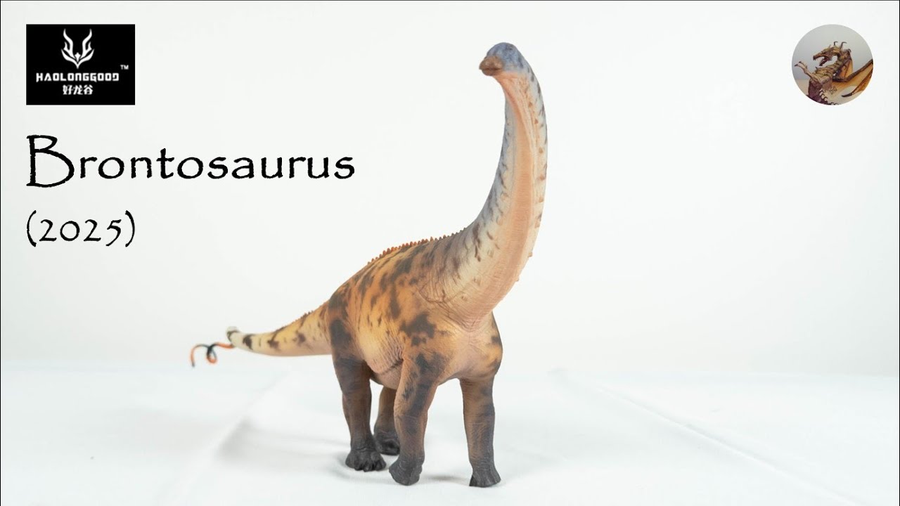 352: Haolonggood Brontosaurus 2025 Review Part 1