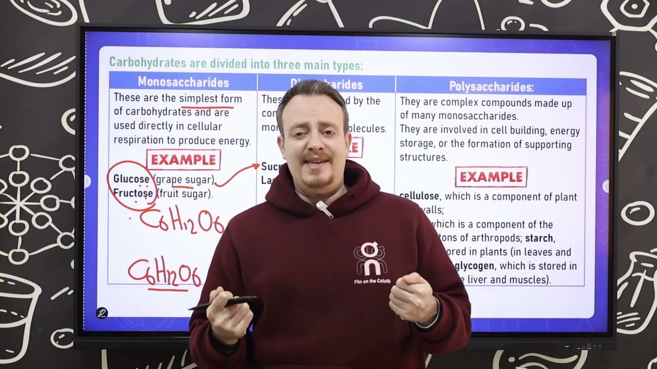 Integrated science | sec 1 | UNIT 3 | Lesson 1: Biosphere part 3