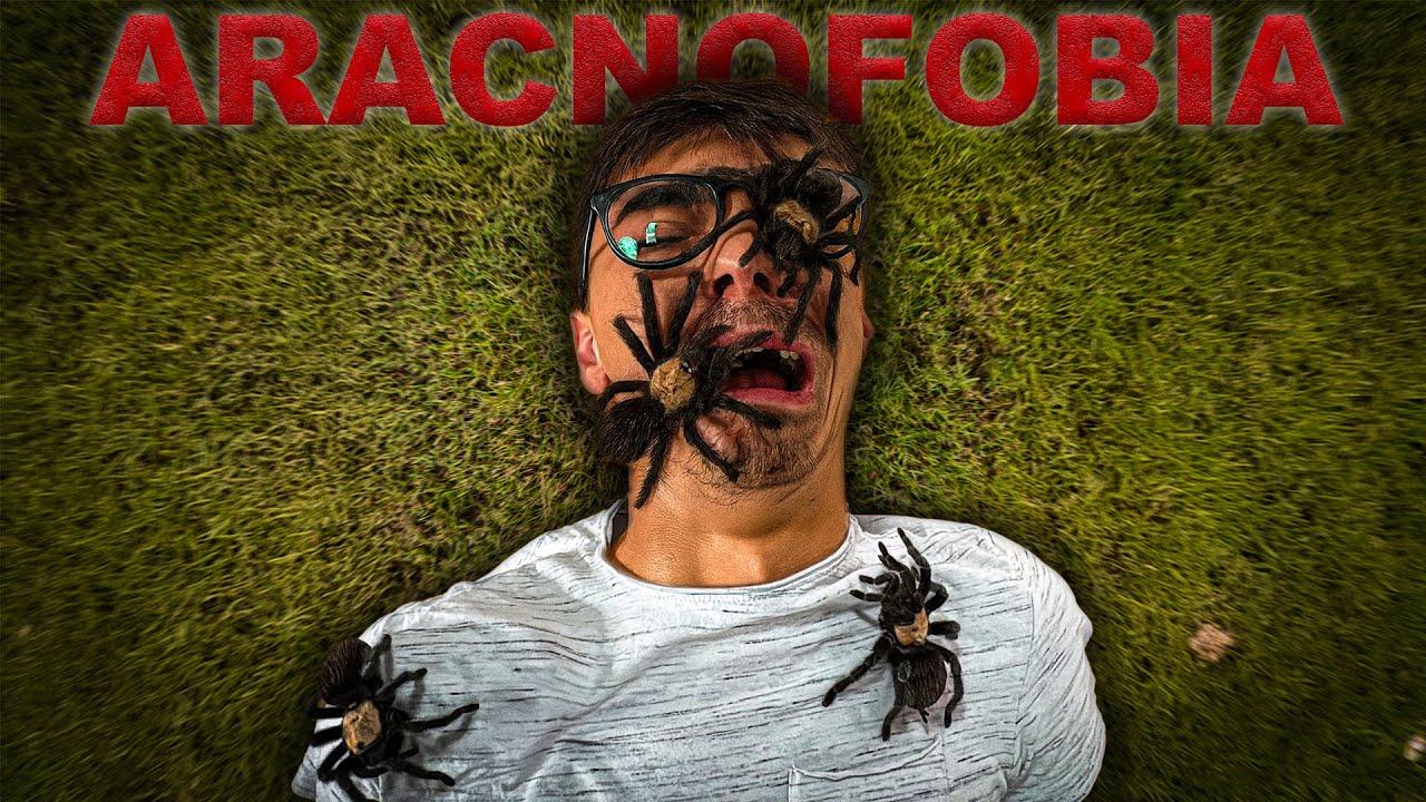 HO SCONFITTO L'ARACNOFOBIA IN UN MODO ESTREMO.